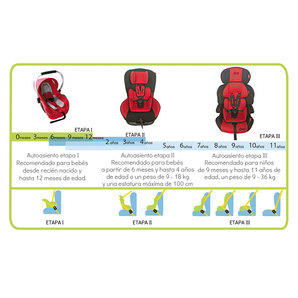Autoasientos D'bebe etapas